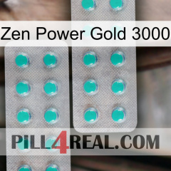 Zen Power Gold 3000 29